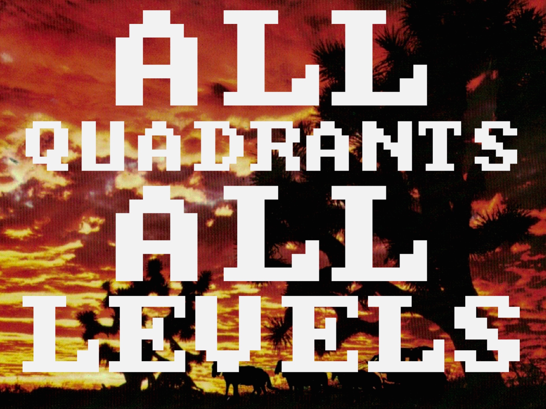 All Quadrants All Levels logo