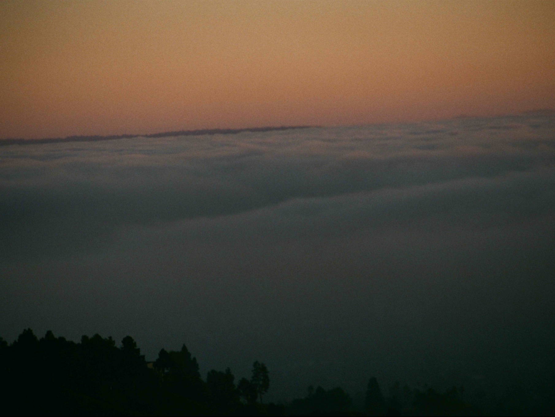 The Heliocentric Hootenanny logo